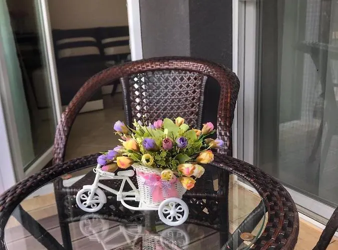 сем. павлови 奥布佐尔